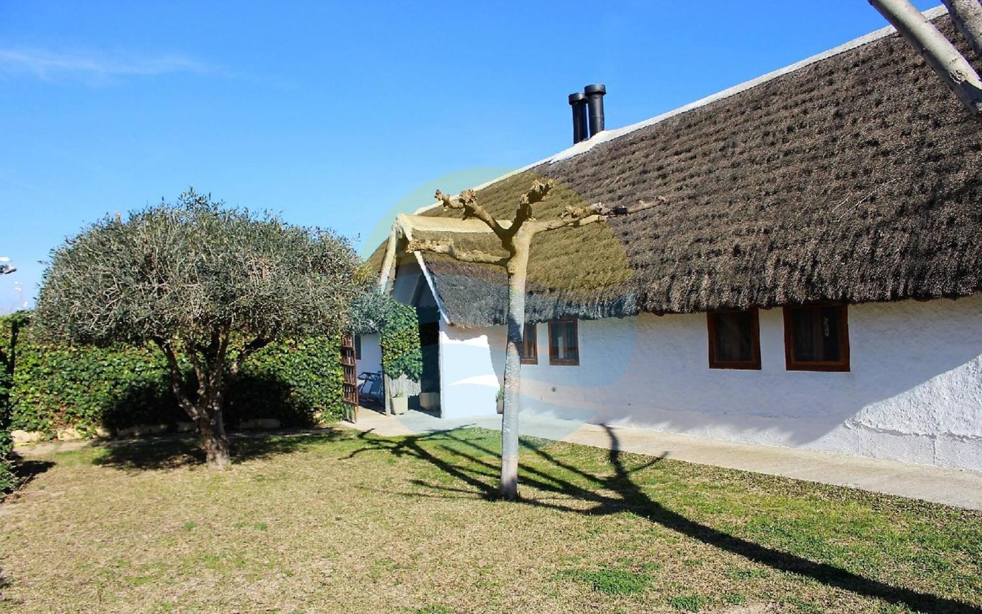 圣海梅-德恩韦哈Barraca Tipica Del Delta, Con Piscina, Jardin Y Barbacoa - Deltavacaciones别墅 外观 照片